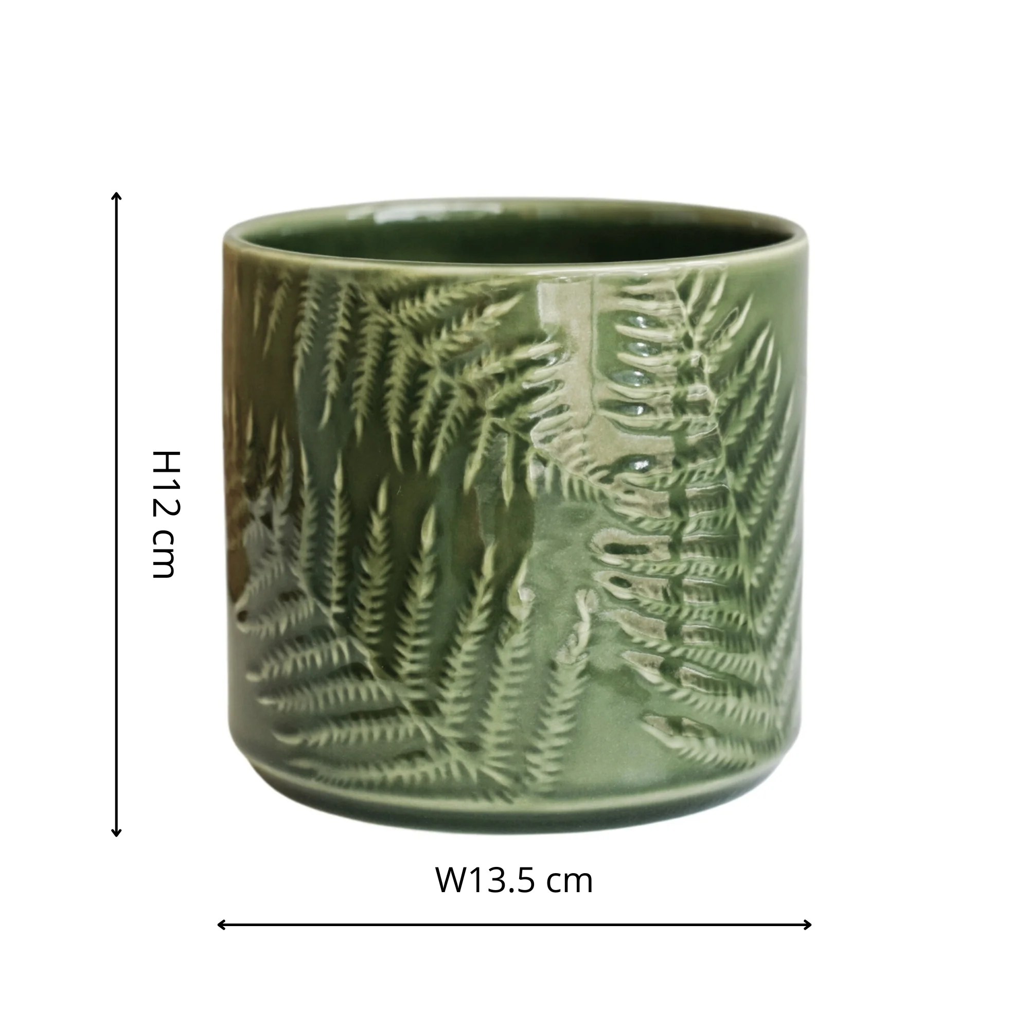Orla Fern Pot Green - Image 3