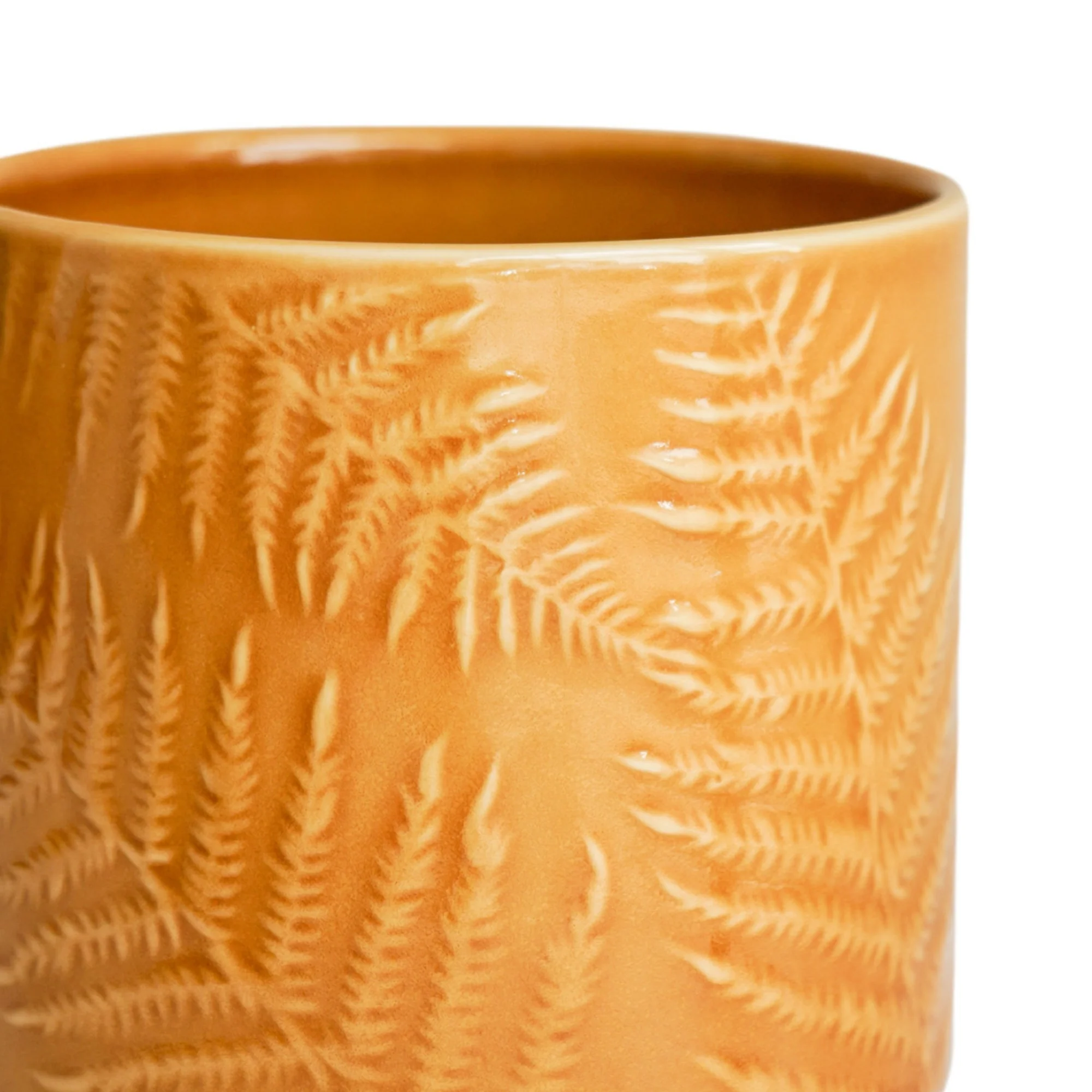 Orla Fern Pot Mustard - Image 3