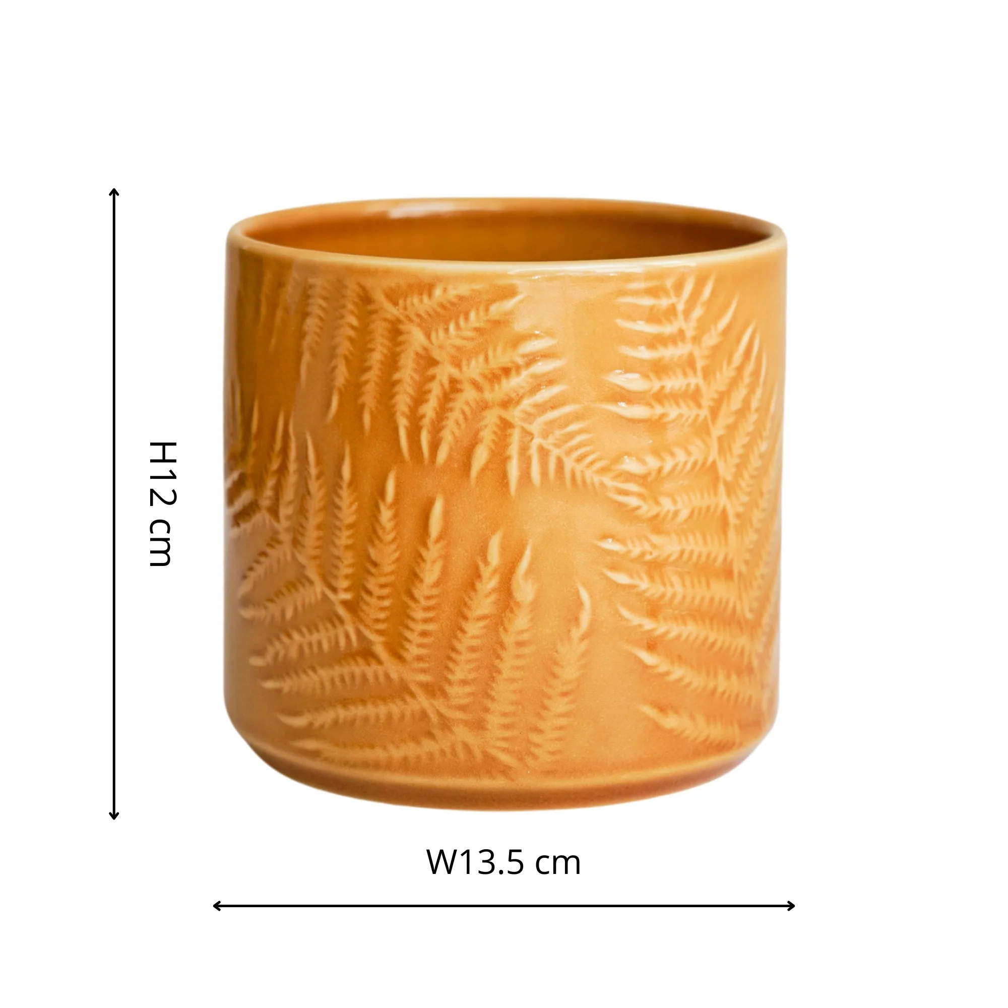 Orla Fern Pot Mustard - Image 4