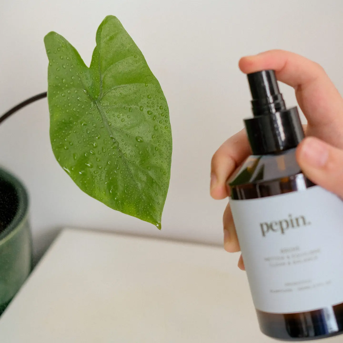 Pepin Cleaning Mist - Brume 200ml - Image 2