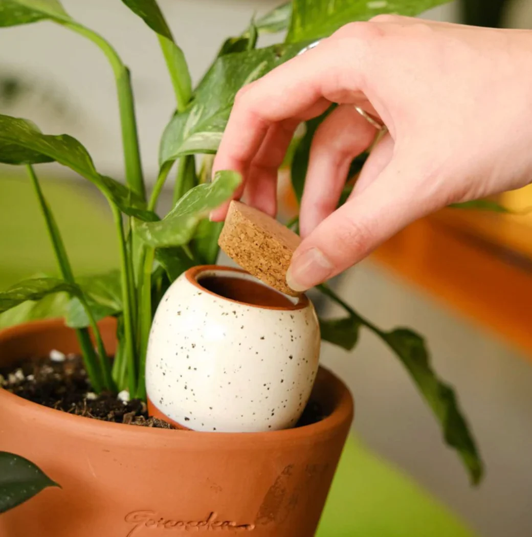 Pepin Self Watering Olla Green - Image 3