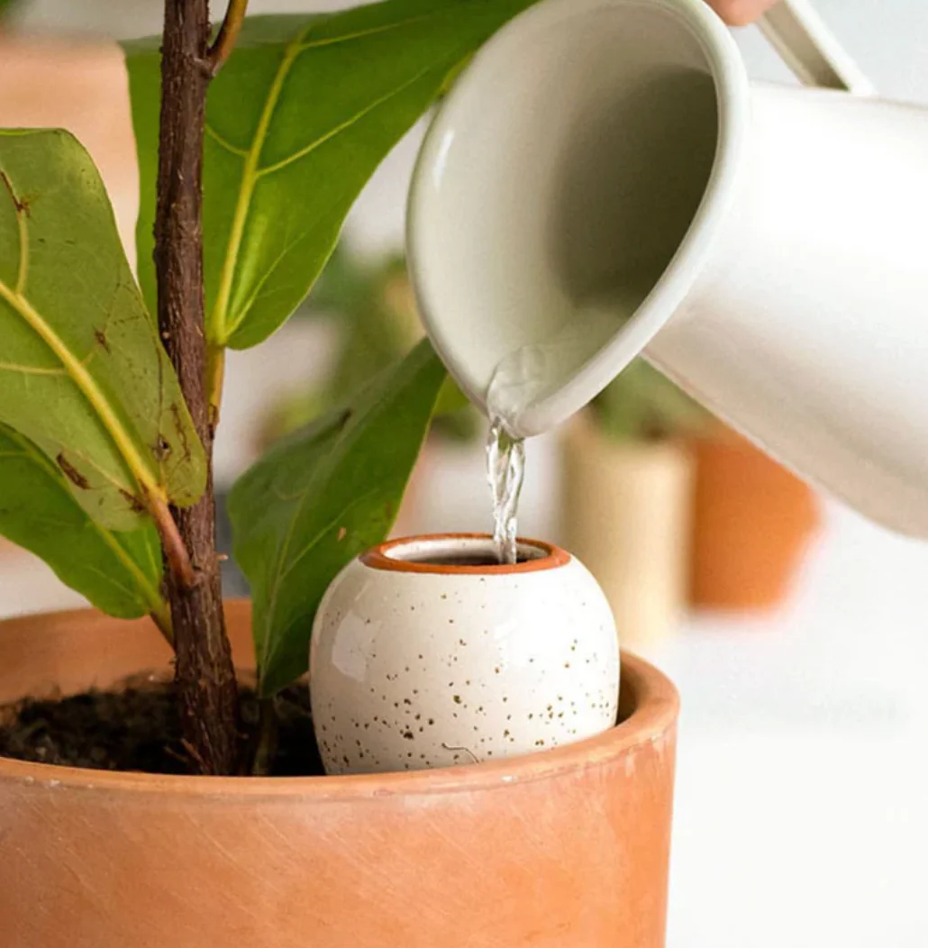 Pepin Self Watering Olla Green - Image 4