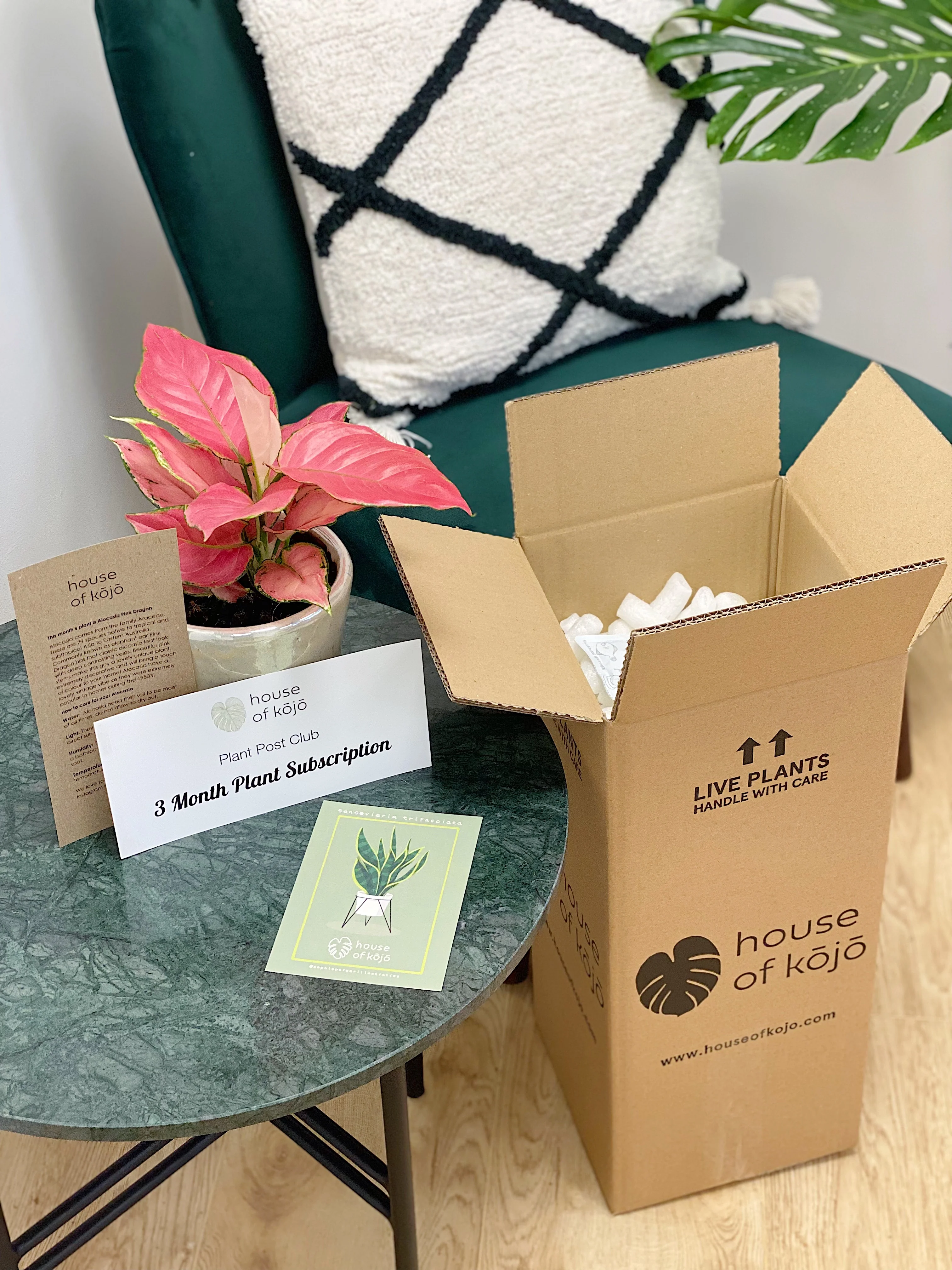 GrowTropicals Monthly Rare Houseplant Subscription