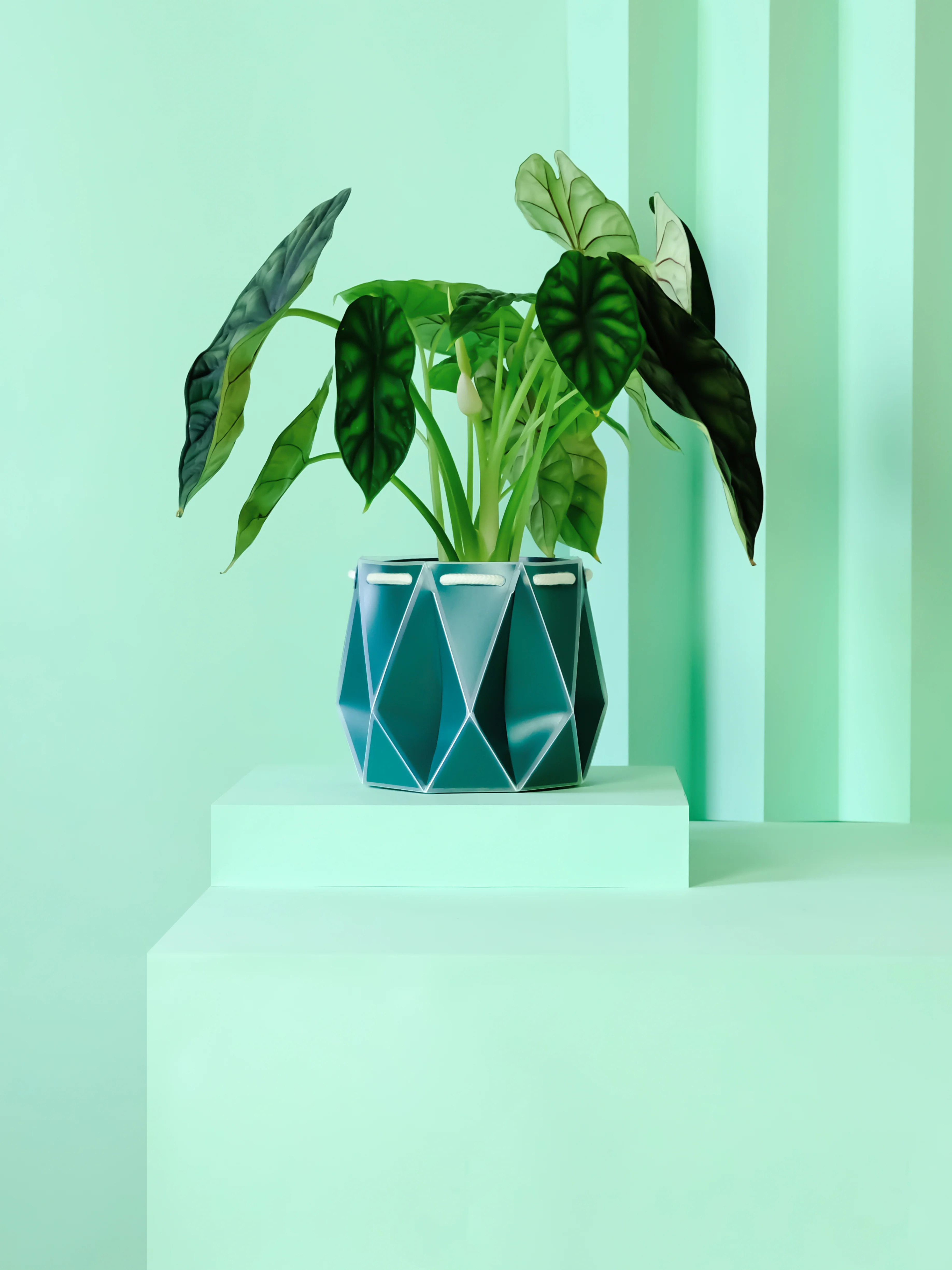 POTR Aqua Self-Watering Pot