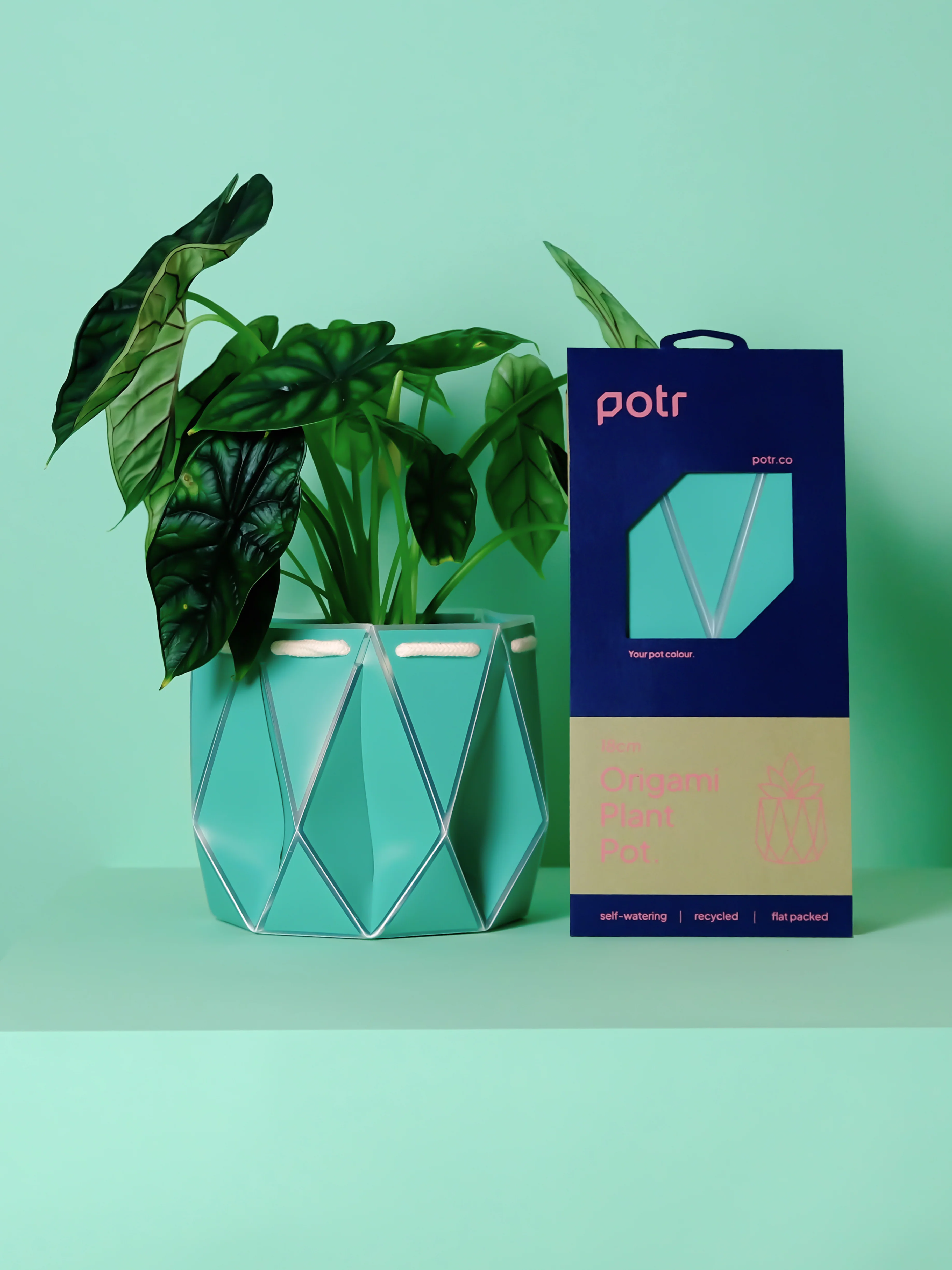 POTR Aqua Self-Watering Pot - Image 3