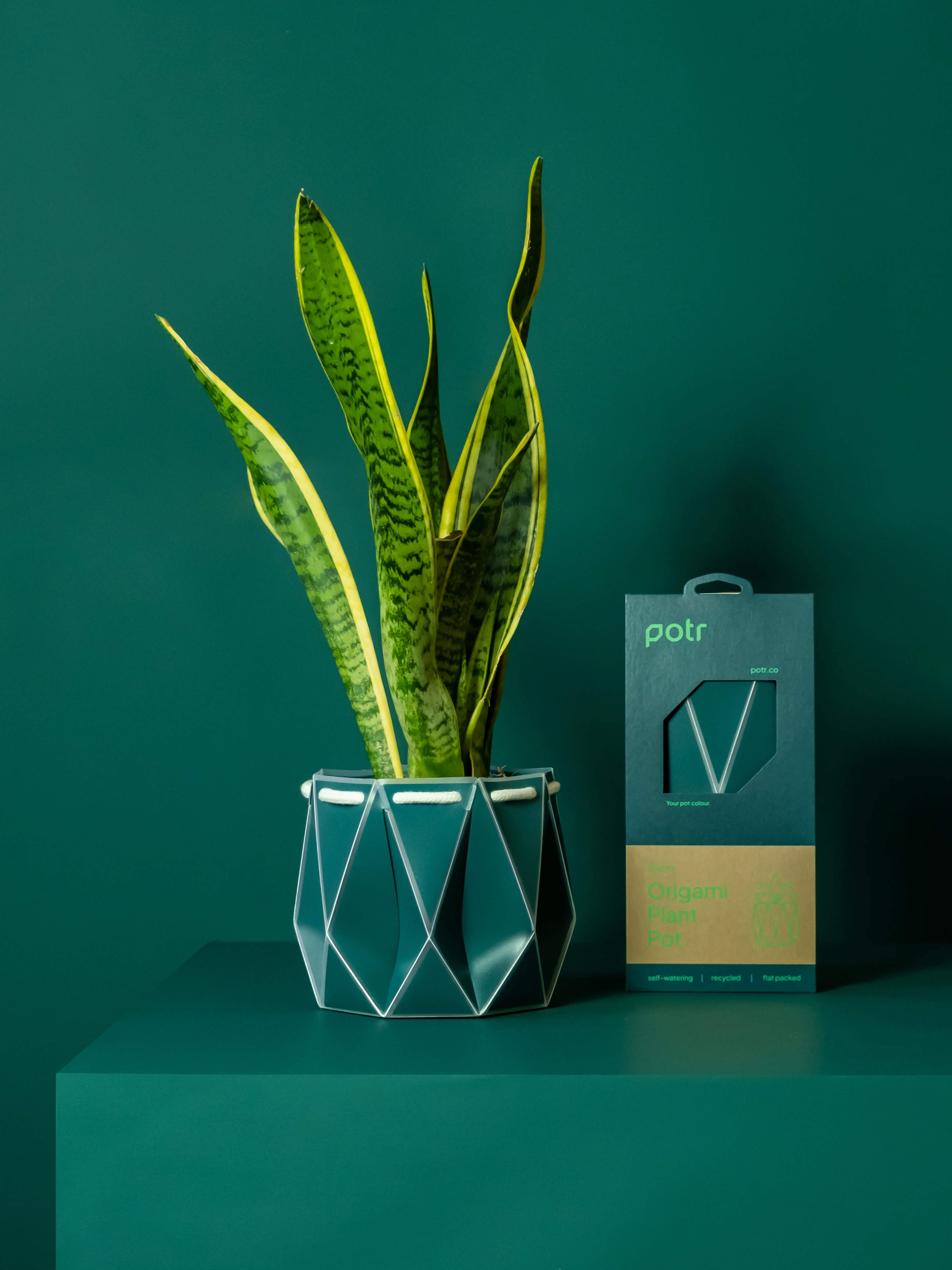 POTR Dark Teal Self-Watering Pot - Image 3