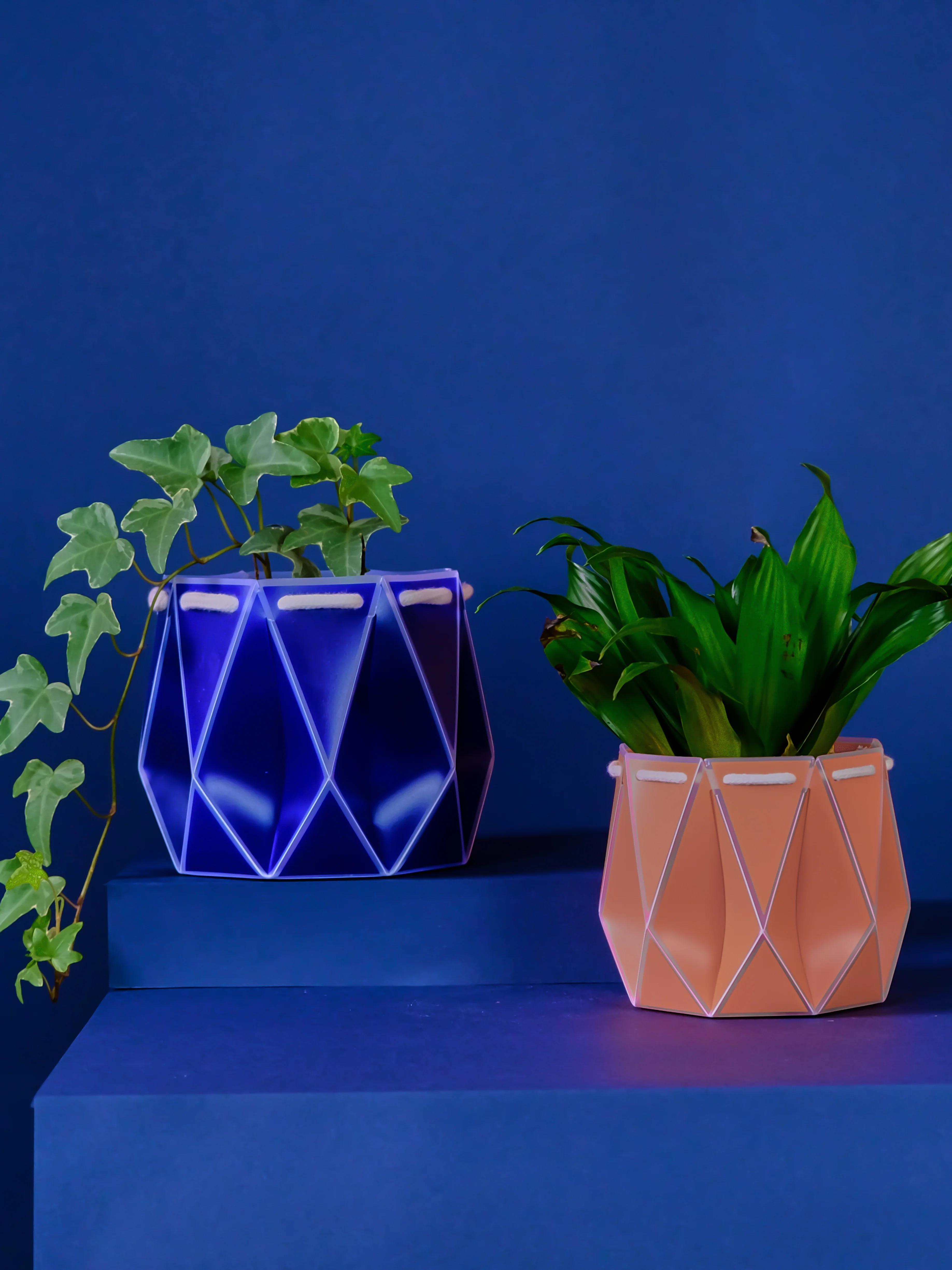 POTR Navy Self-Watering Pot - Image 2