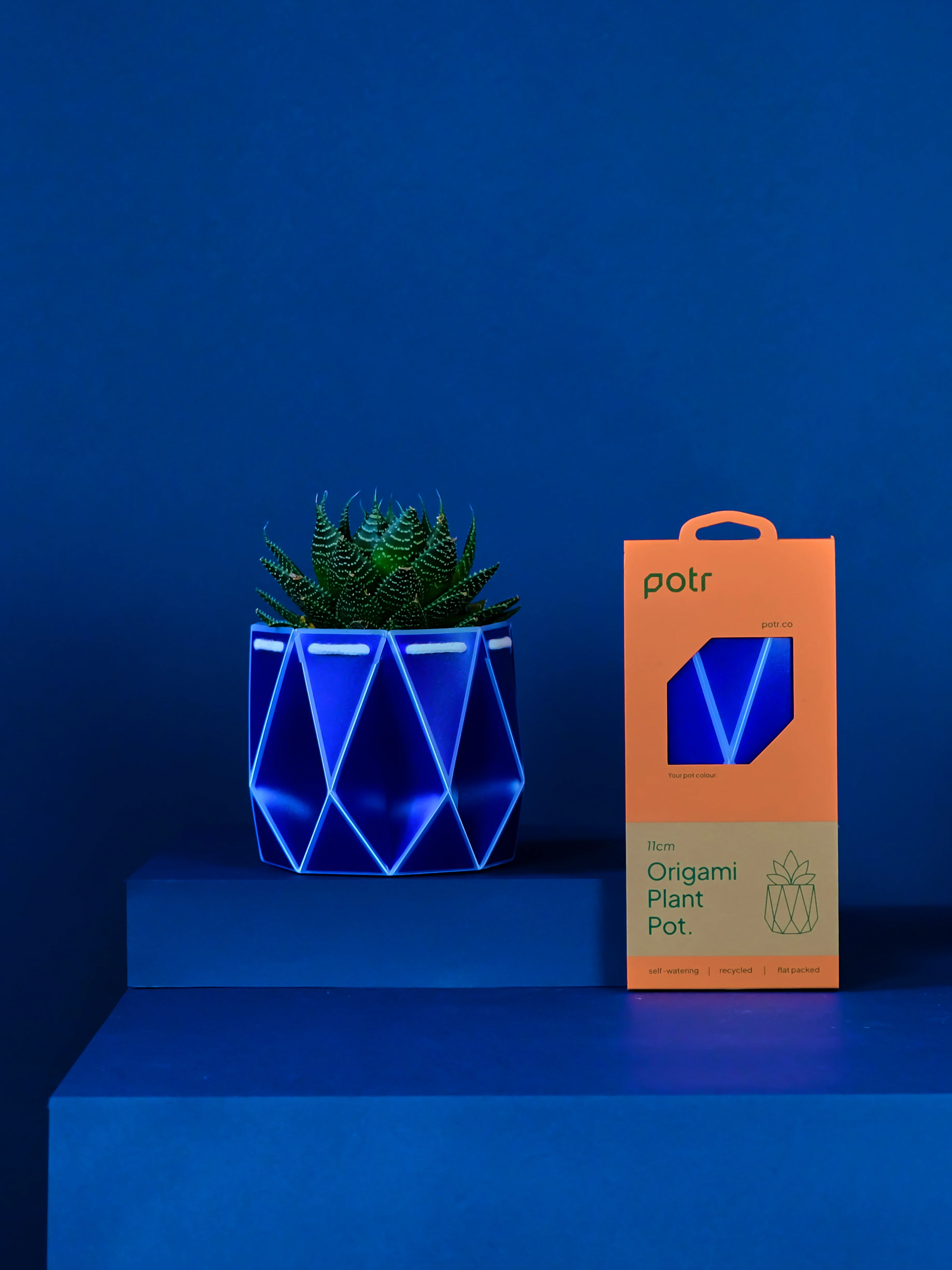 POTR Navy Self-Watering Pot - Image 3