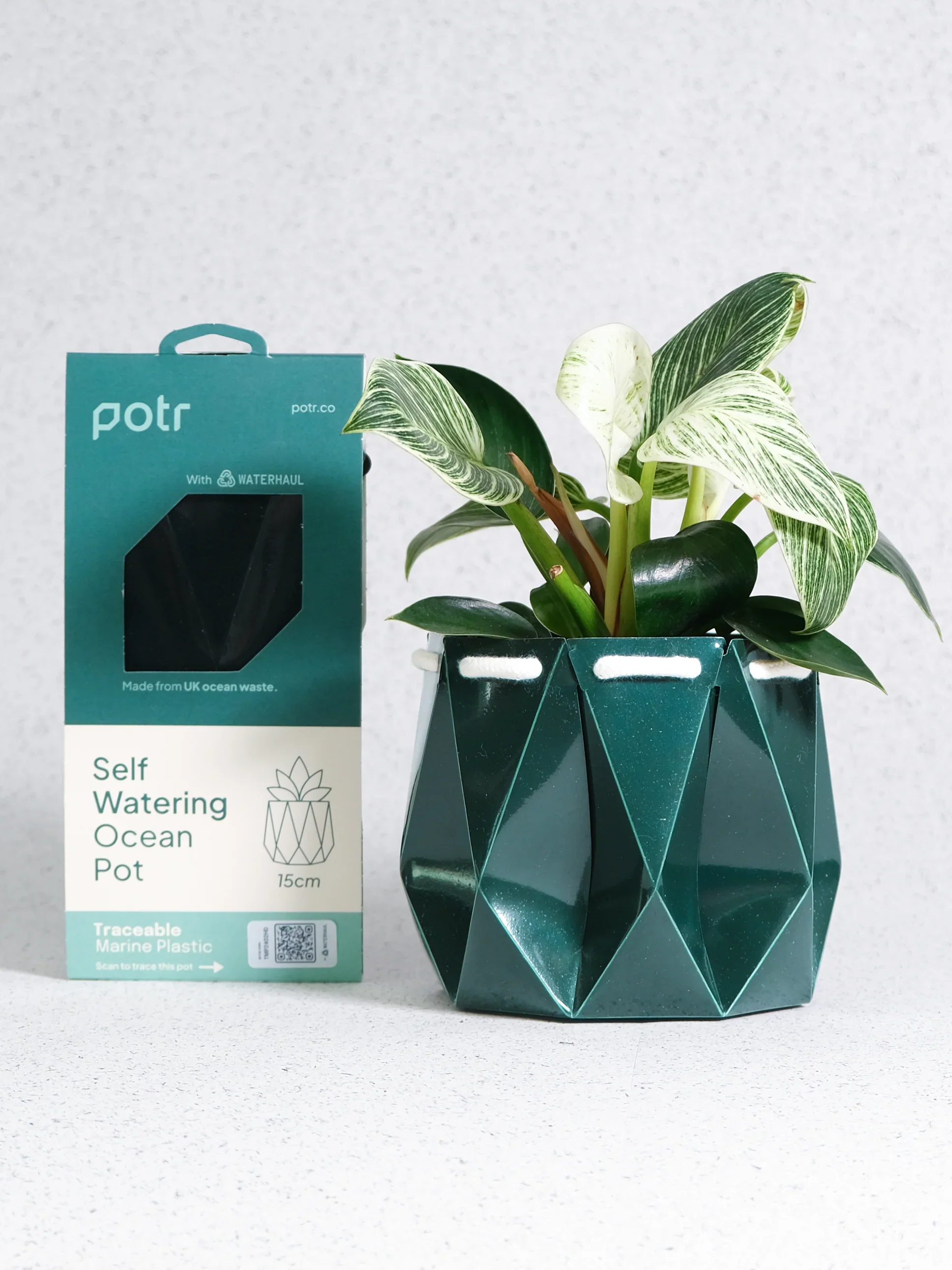 POTR Ocean Pot Deep Green