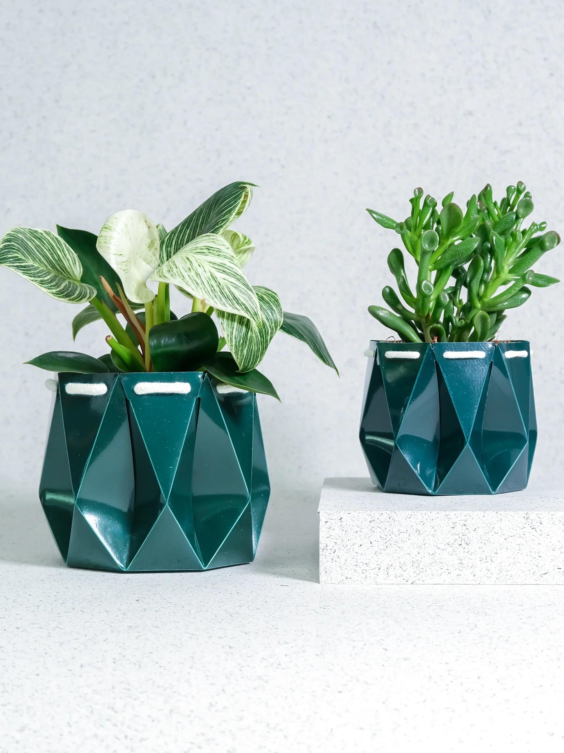 POTR Ocean Pot Deep Green - Image 2