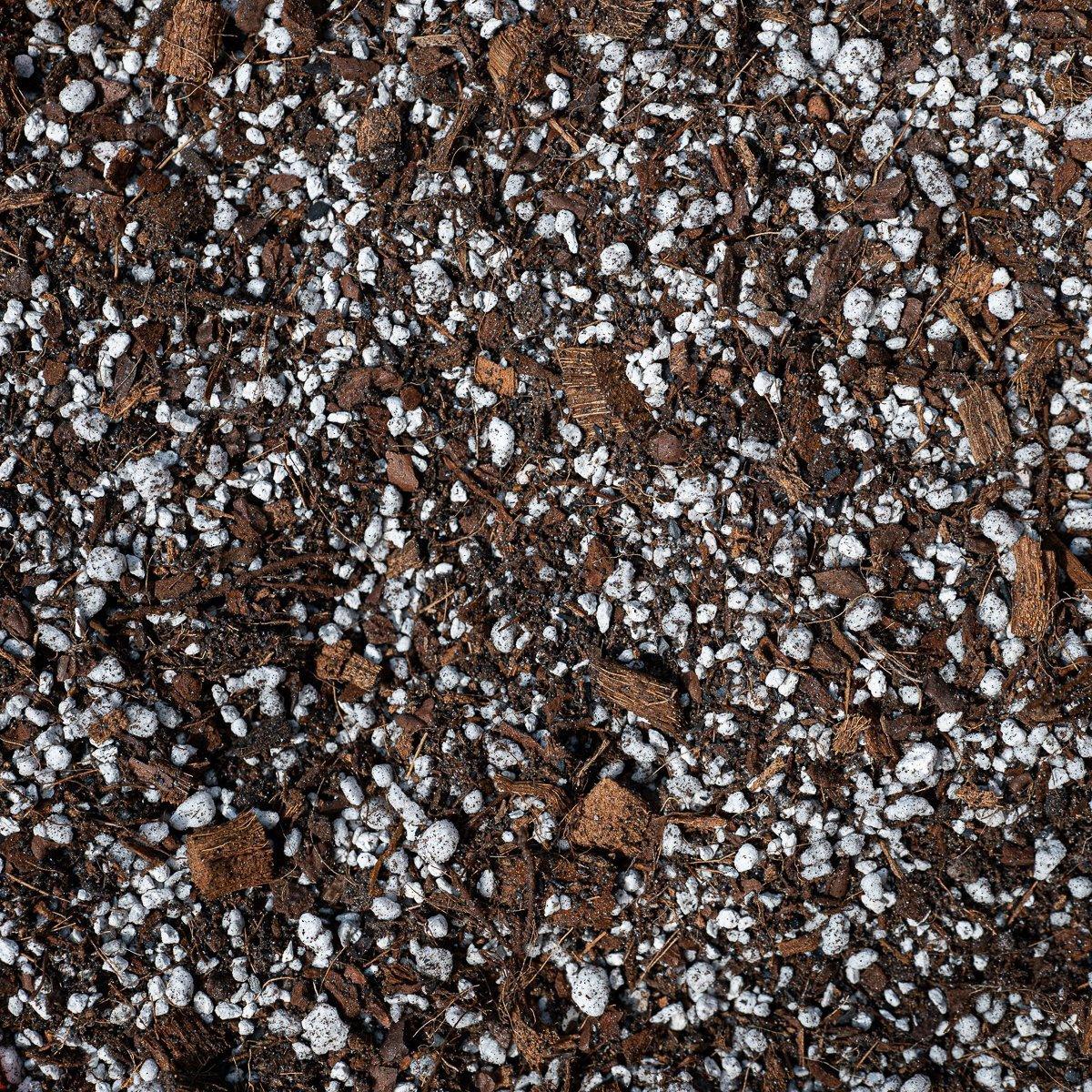 GrowTropicals Hoya Potting Mix - Image 2