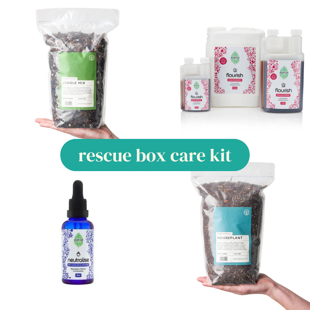 Rescue Box Complete Care Kit