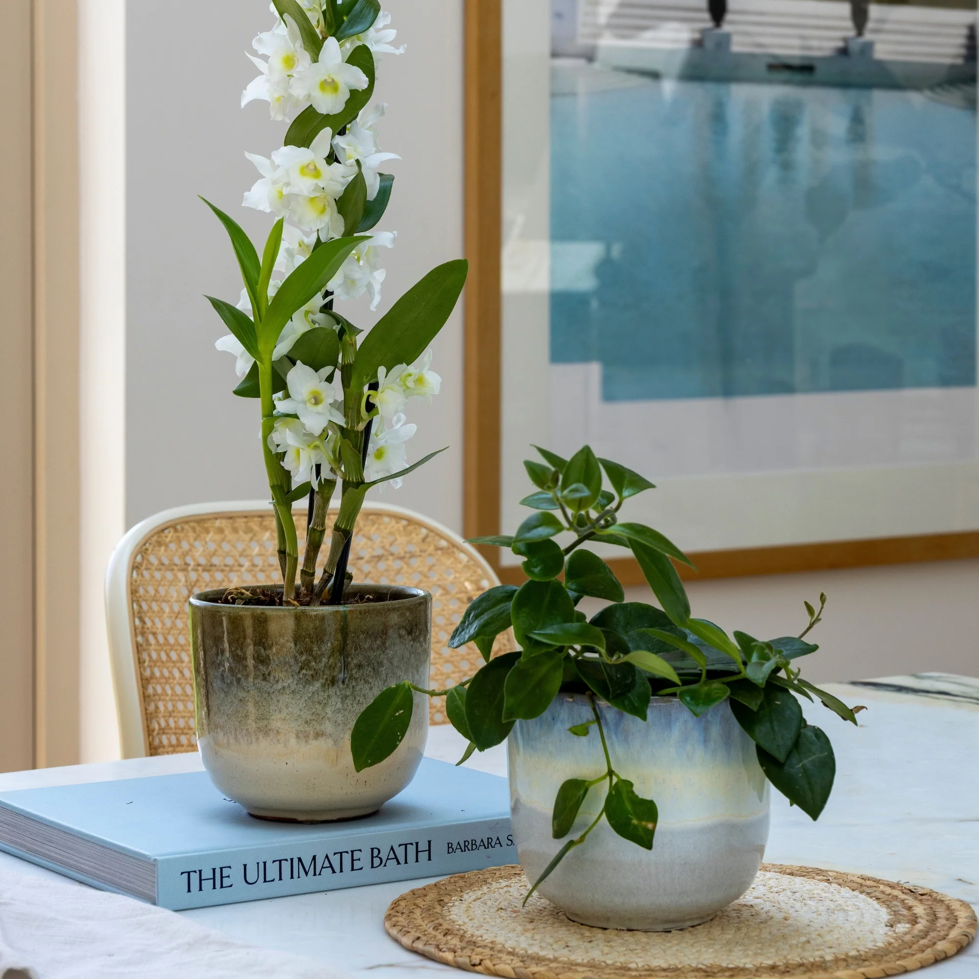 Rowe Two Tone Olive Reactive Planter - Image 3