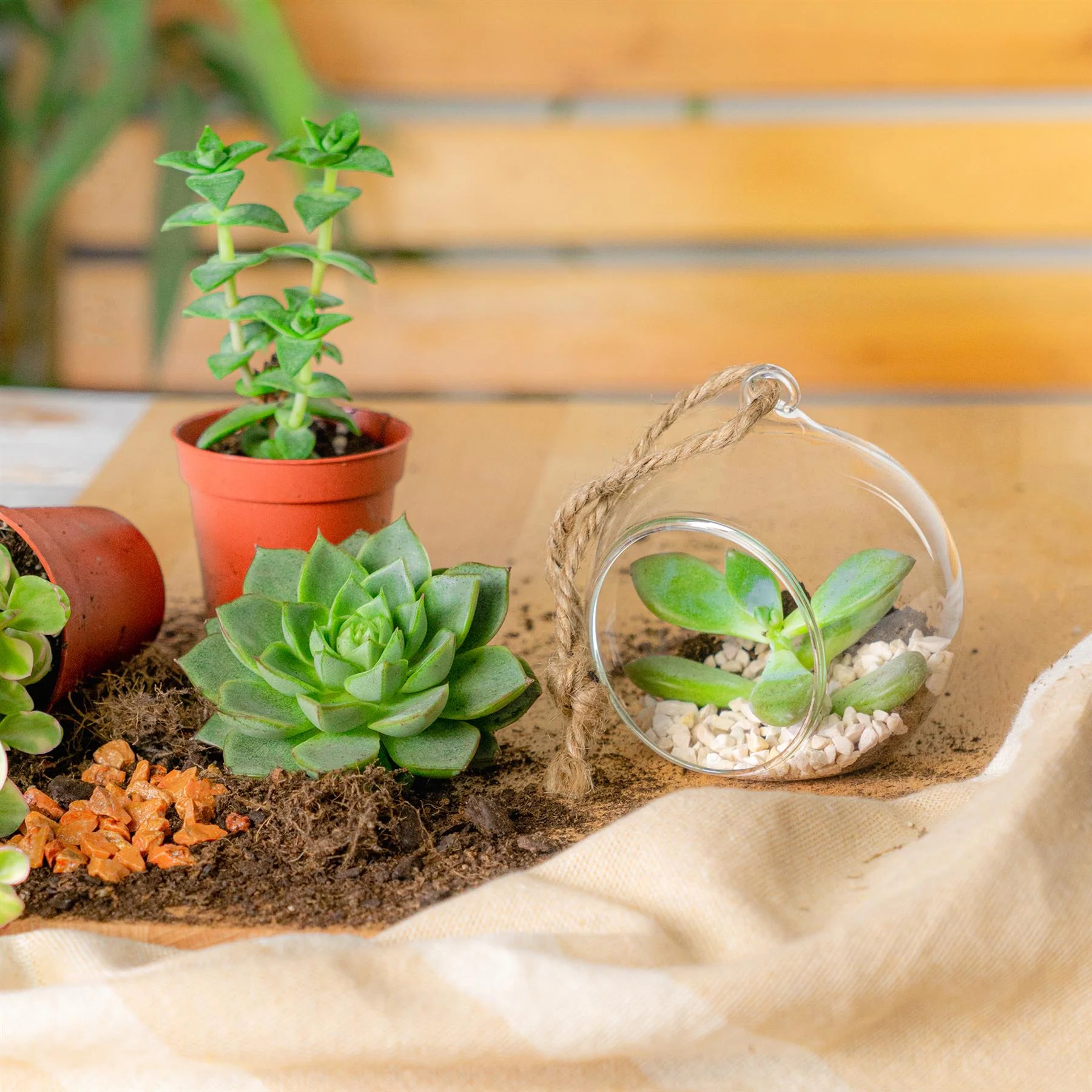 Terrarium Bauble - 8cm - Image 2