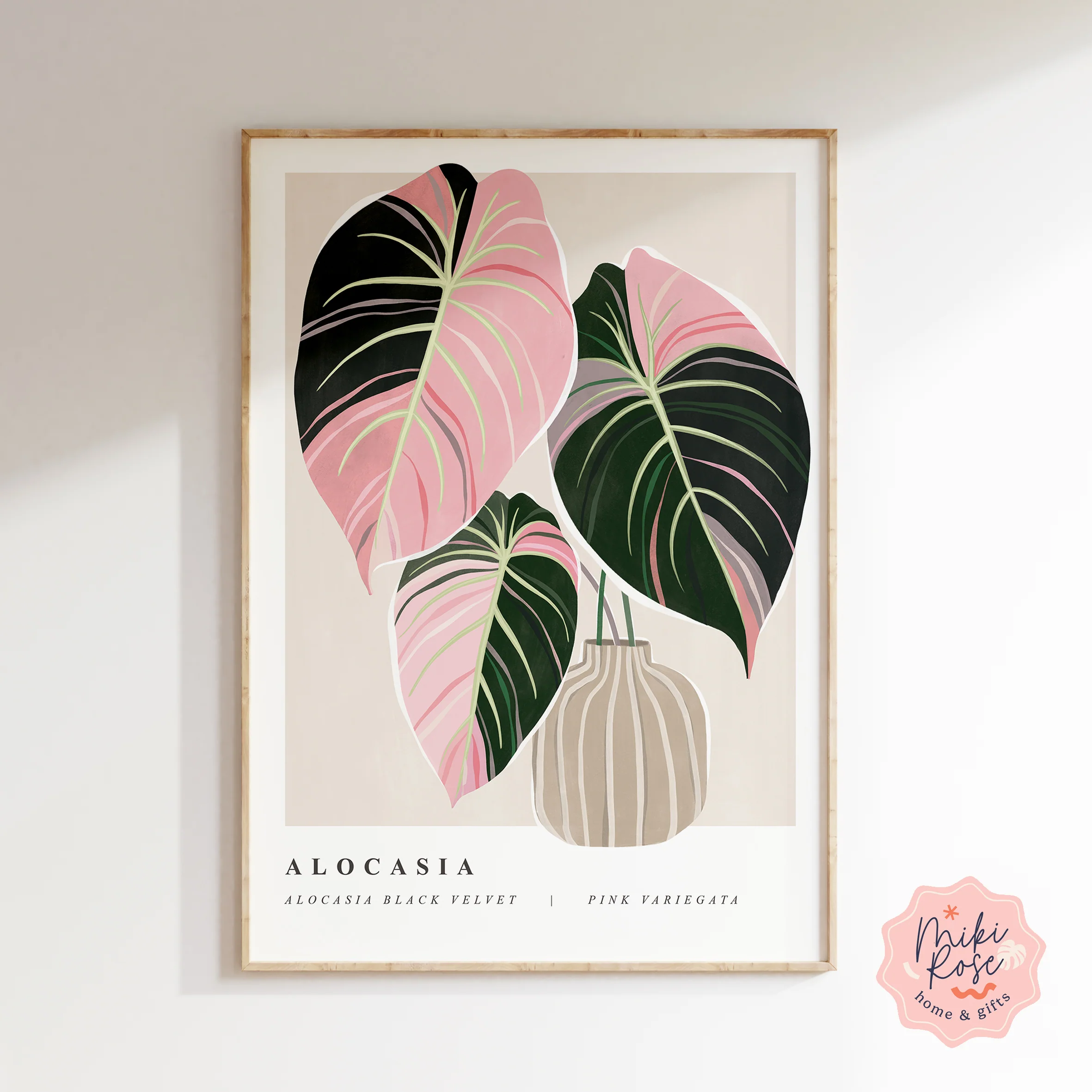 Variegated Alocasia Black Velvet Art Print